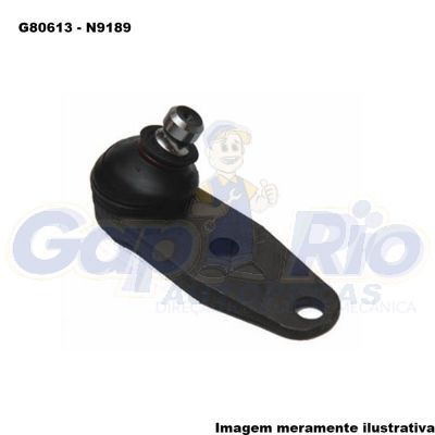 Pivô de Suspensão Renault Clio, Scenic, Symbol, Kangoo 