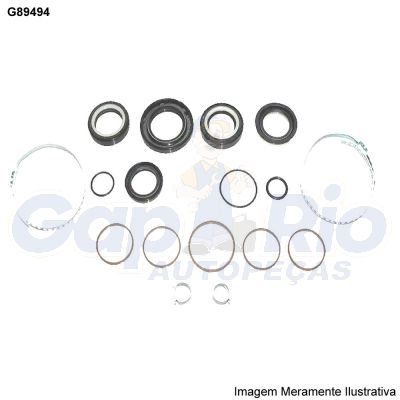 Kit Reparo Caixa de Direção Hidráulica Renault 19 1993/1999 Clio 1994/1998 Nevada 1993/1999 (CAIXA ZF)