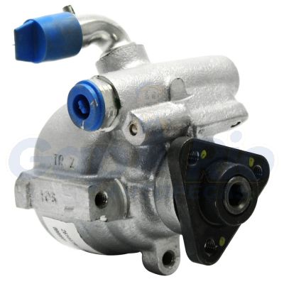 Bomba de Direção Hidráulica Fiat Palio Doblo Idea Siena Strada