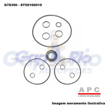 Kit Reparo Bomba de Direção Hidráulica Gm S10, Grand Caravan 