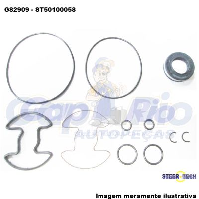 Kit Reparo Bomba de Direção Hidráulica BMW 318/525 1991 à 1994 (P/ Bomba Modelo: ZF)