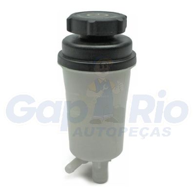 Reservatório Direção Hidráulica Ford Focus 1.6 Sigma 09/13