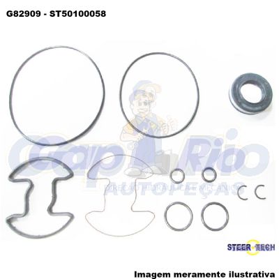 Kit Reparo Bomba de Direção Hidráulica BMW 318/525 1991 à 1994 (P/ Bomba Modelo: ZF)